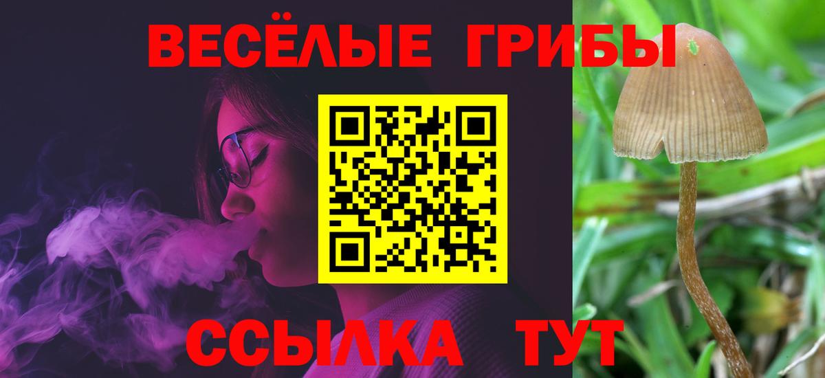 Галлюциногенные грибы ЛСД  Псилоцибиновые грибы Psilocybe  Вход с VPN  Выкса 