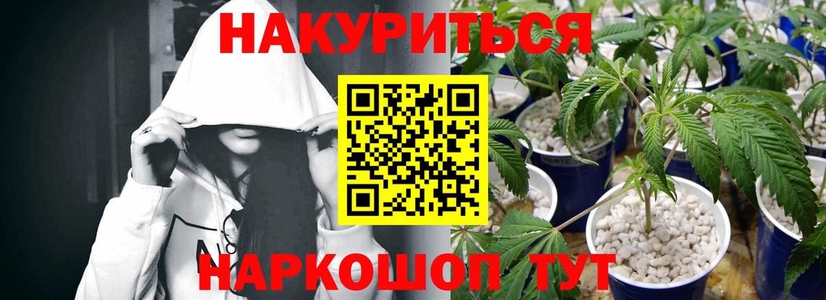 Конопля сатива  Каннабис SATIVA & INDICA  Выкса  Вход с VPN  Шишки марихуана семена  Каннабис марихуана 
